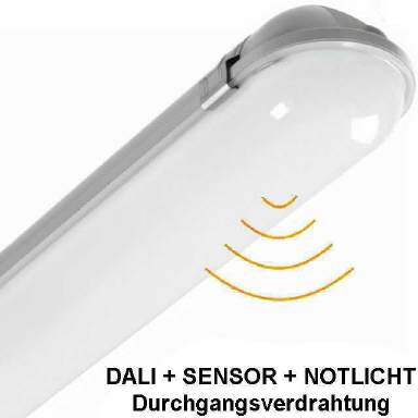 Feuchtraumleuchte DALI Sensor Notlicht 55W 5000K